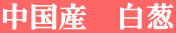 中国産　白葱