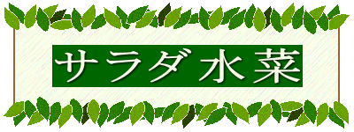 サラダ水菜