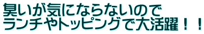 臭いが気にならないので ランチやトッピングで大活躍！！ 